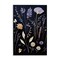 Stupell Industries Various Sprigs on Black Wall Plaque Design by Heidi Kuntz